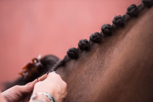 Top 5 tips for Horse Show preparation