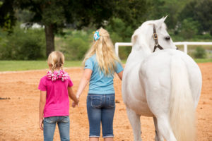 A Parent's guide to Horse Shows